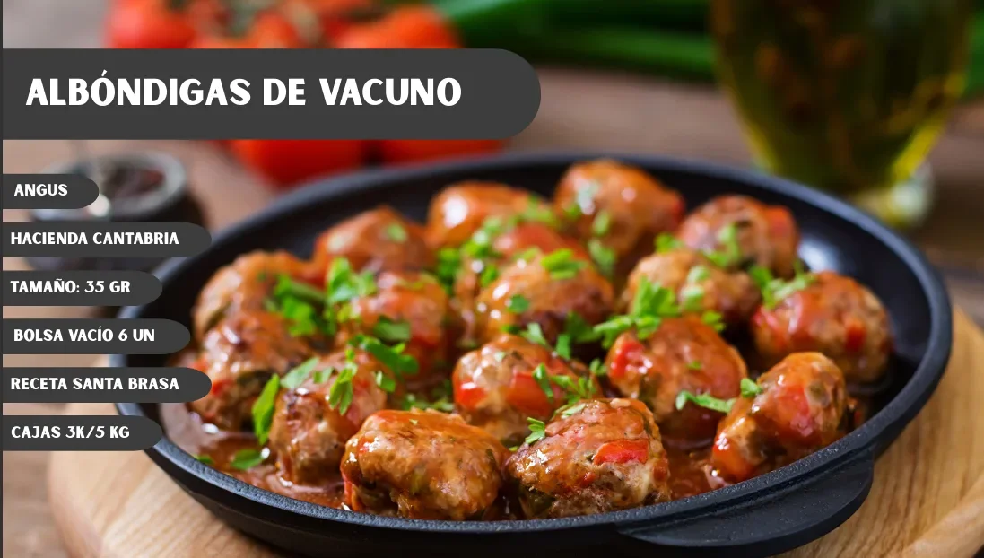 Albondigas de vacuno - imagen 2